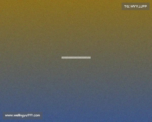 斯图加特与阿森纳就签下法比奥维埃拉展开谈判接触