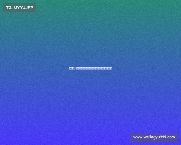 杨瀚森8月训练回顾：波特兰归来途中赴迈阿密新泽西等地备战